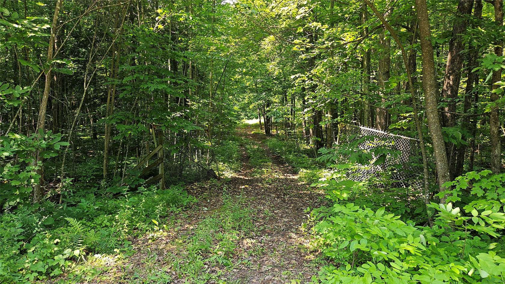 5 Acres of Residential Land for Sale in Couderay, Wisconsin
