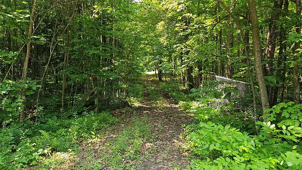 5 Acres of Residential Land for Sale in Couderay, Wisconsin