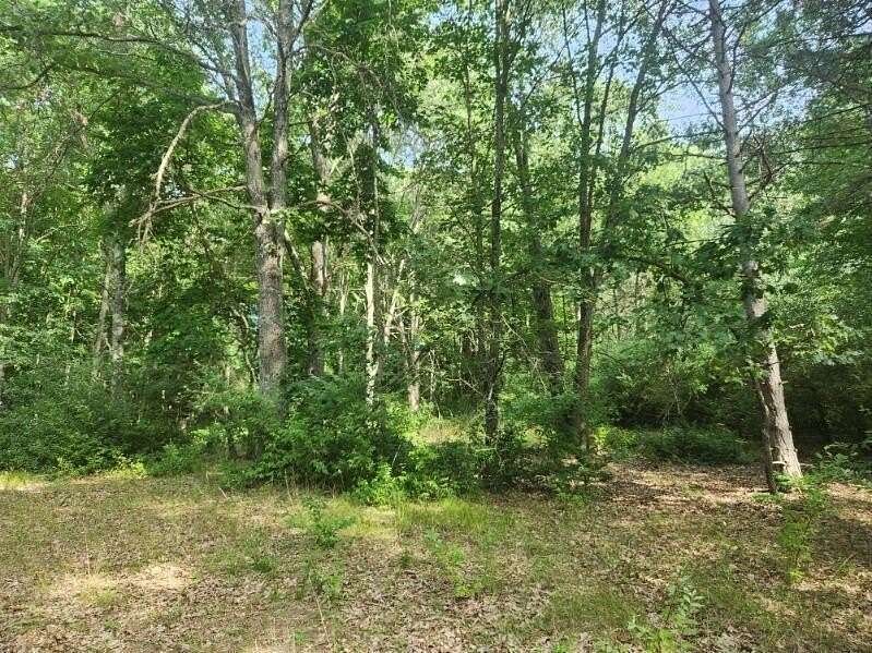 2.72 Acres of Land for Sale in Branch Township, Michigan