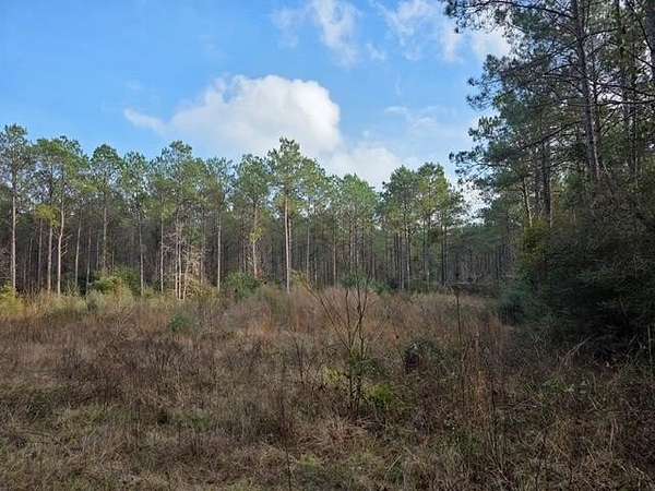5.8 Acres of Land for Sale in Wiergate, Texas
