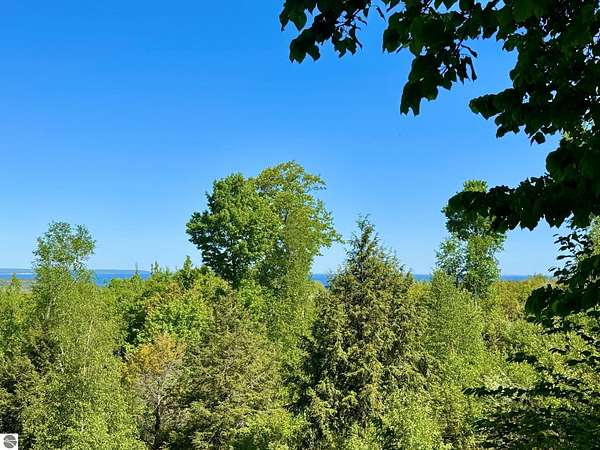 2.56 Acres of Residential Land for Sale in Maple City, Michigan