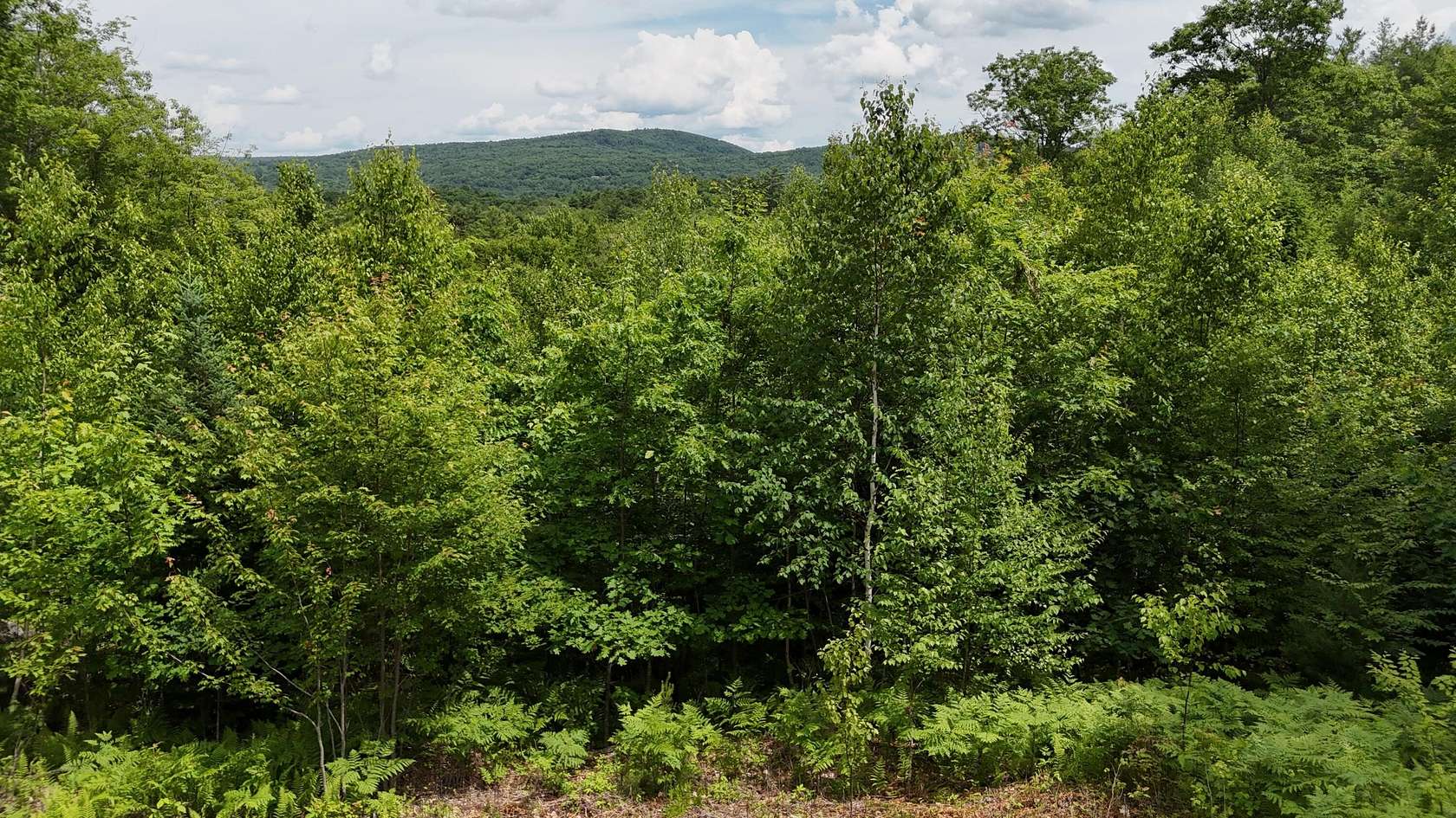 4.26 Acres of Land for Sale in Canton, Maine