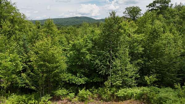4.26 Acres of Land for Sale in Canton, Maine