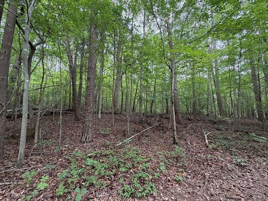 1.4 Acres of Residential Land for Sale in Buffalo Junction, Virginia
