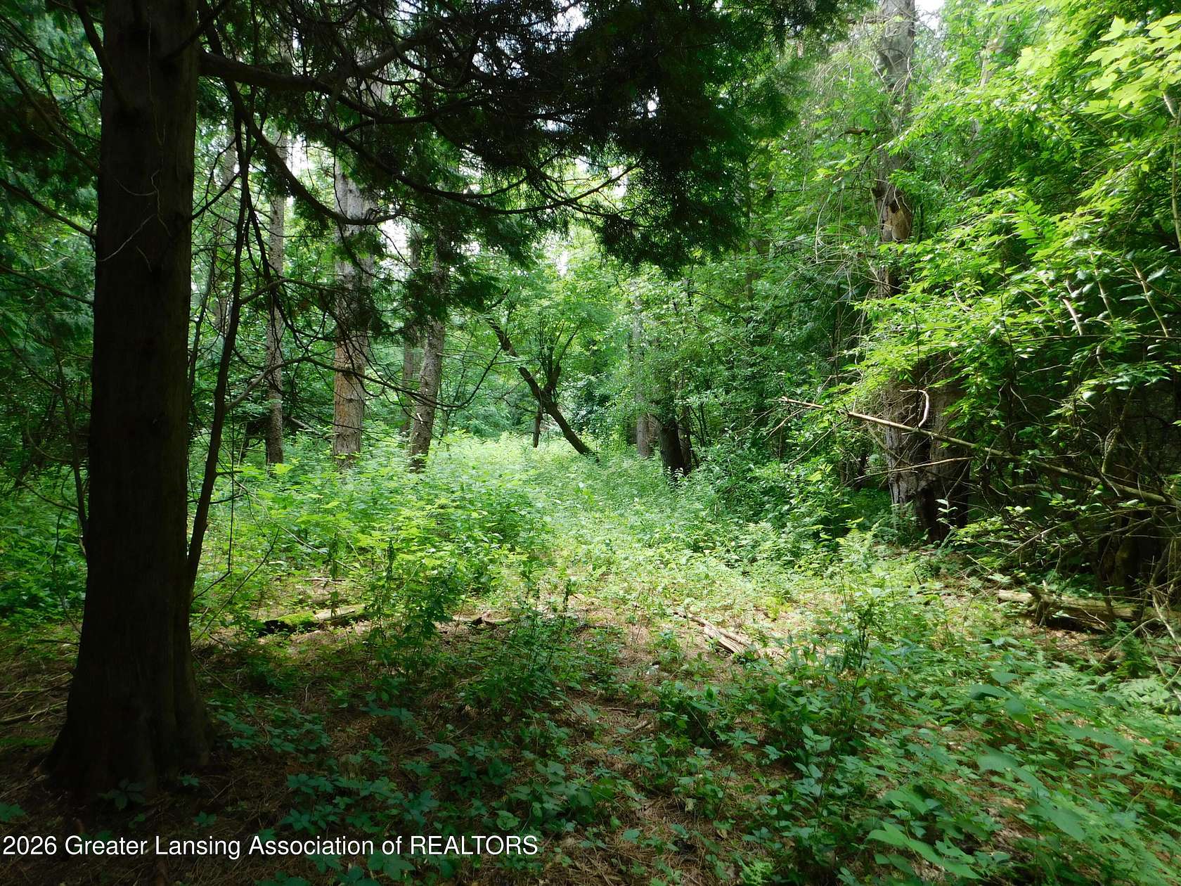 15 Acres of Land for Sale in Bath, Michigan