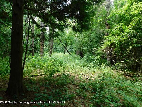 15 Acres of Land for Sale in Bath, Michigan