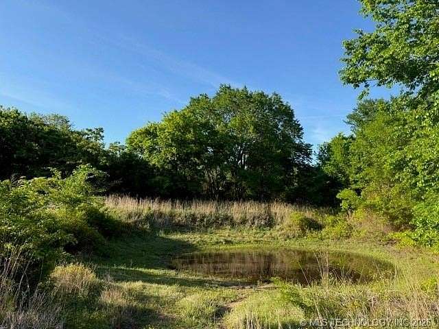 70 Acres of Recreational Land for Sale in Burneyville, Oklahoma