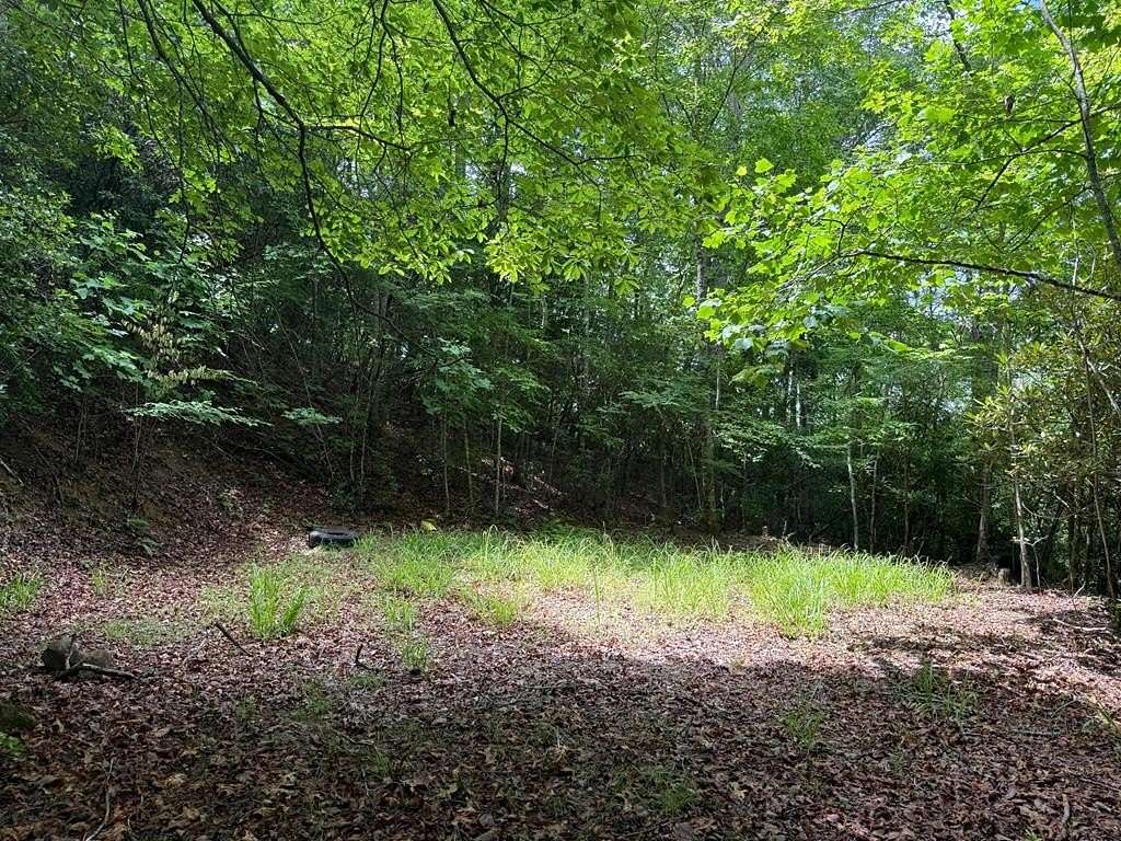 0.71 Acres of Residential Land for Sale in Franklin, North Carolina