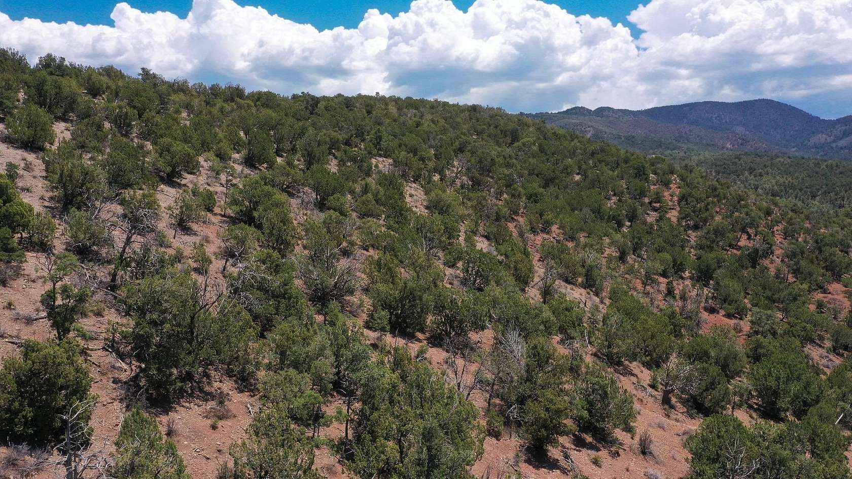 20 Acres of Recreational & Residential Land for Sale in High Rolls, New Mexico