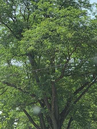 11.4 Acres of Land with Home for Sale in Hillsdale, Michigan