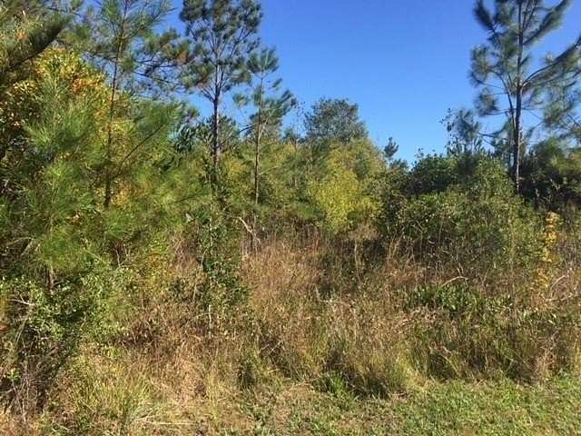4.25 Acres of Residential Land for Sale in Covington, Louisiana