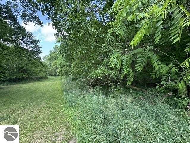 1.33 Acres of Residential Land for Sale in Stanton, Michigan