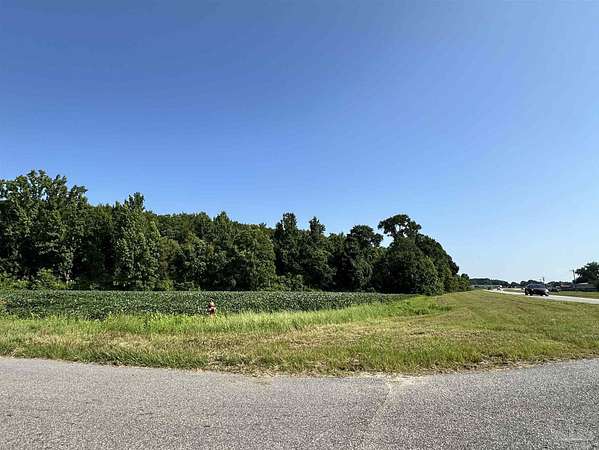 2 Acres of Mixed-Use Land for Sale in Atmore, Alabama