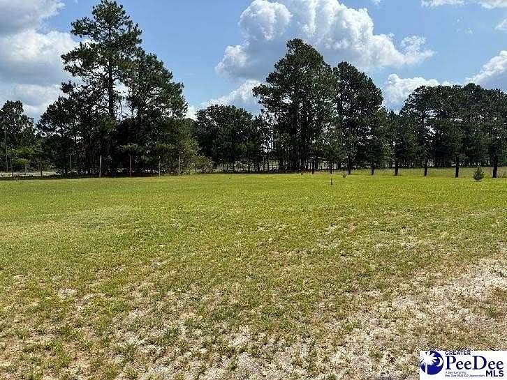 0.94 Acres of Residential Land for Sale in Patrick, South Carolina
