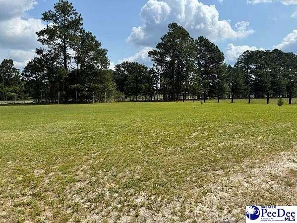 0.94 Acres of Residential Land for Sale in Patrick, South Carolina