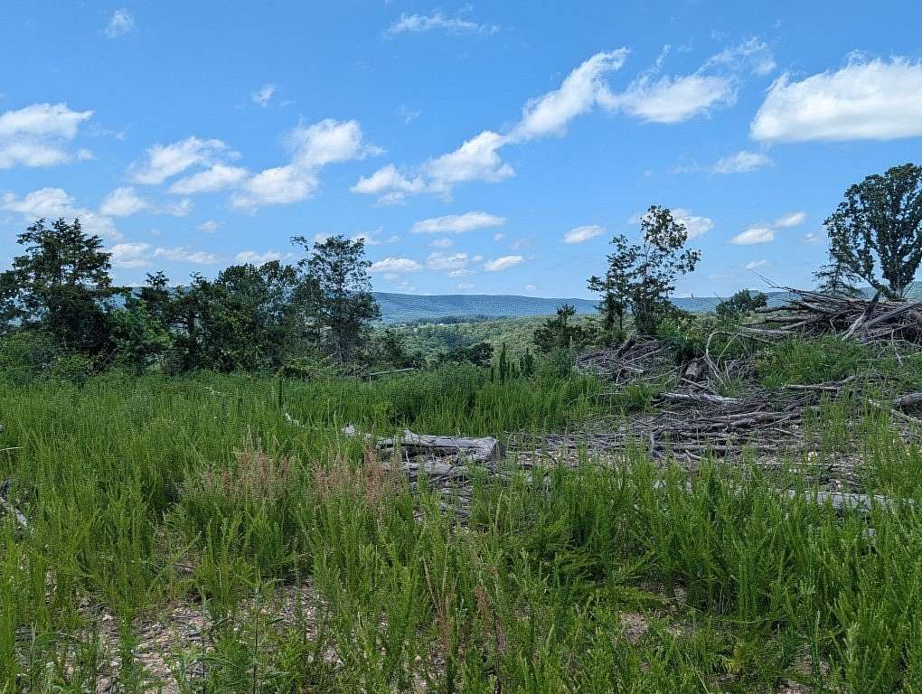 69 Acres of Recreational & Residential Land for Sale in Marble Falls Township, Arkansas