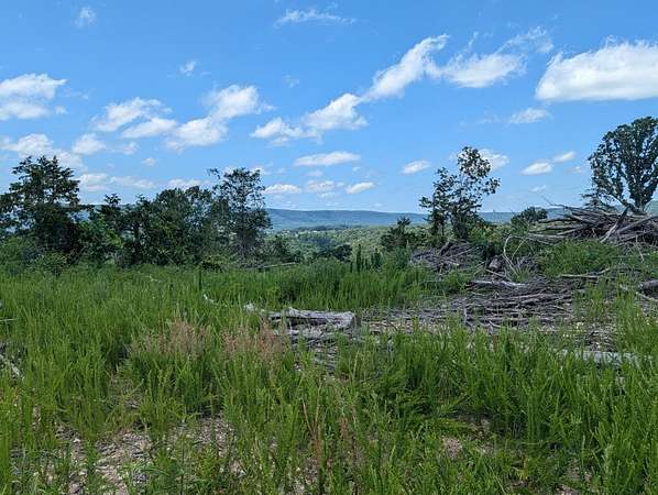 69 Acres of Recreational & Residential Land for Sale in Marble Falls Township, Arkansas