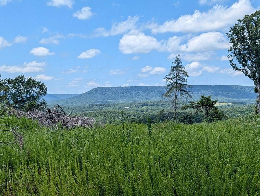 113 Acres of Recreational Land for Sale in Marble Falls Township, Arkansas