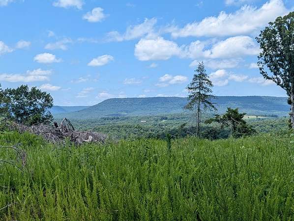 113 Acres of Recreational Land for Sale in Marble Falls Township, Arkansas