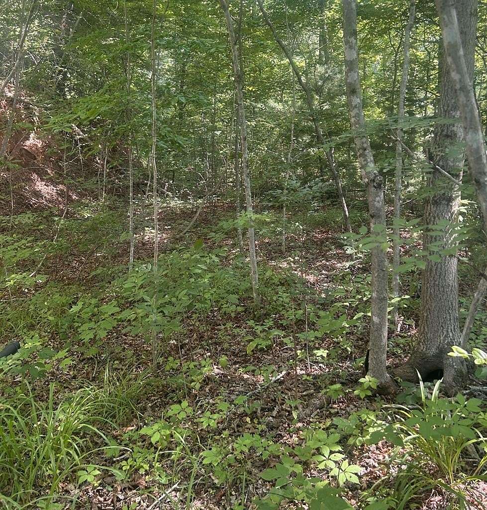 1.25 Acres of Land for Sale in Bryson City, North Carolina