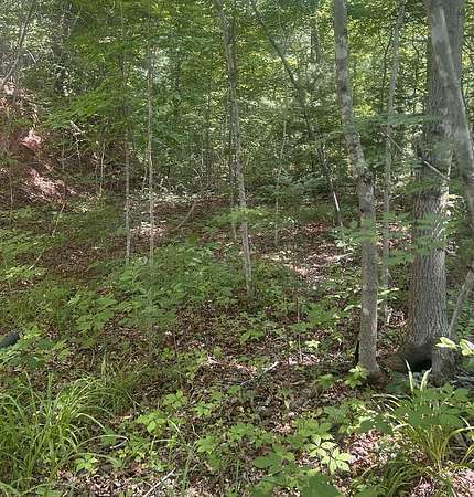 1.25 Acres of Land for Sale in Bryson City, North Carolina