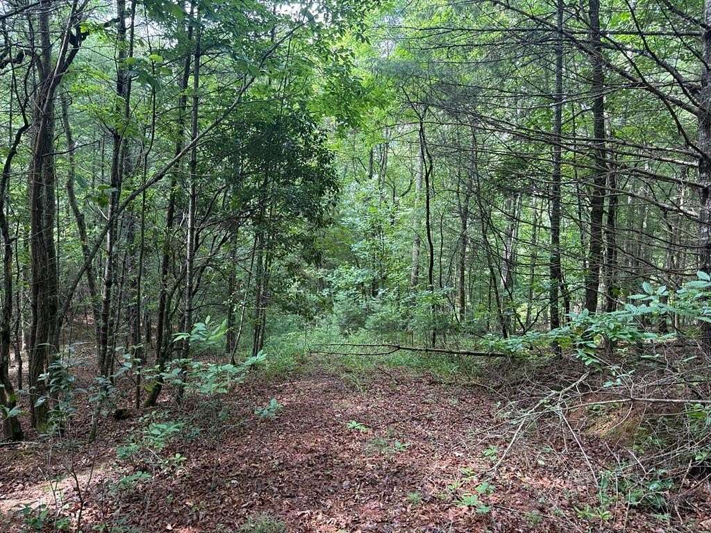 2.54 Acres of Residential Land for Sale in Franklin, North Carolina