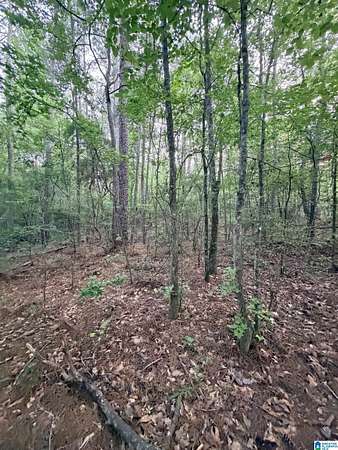 7 Acres of Residential Land for Sale in Sterrett, Alabama