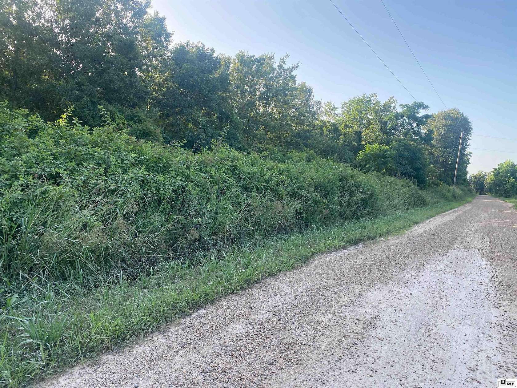 18.5 Acres of Land for Sale in Oak Ridge, Louisiana