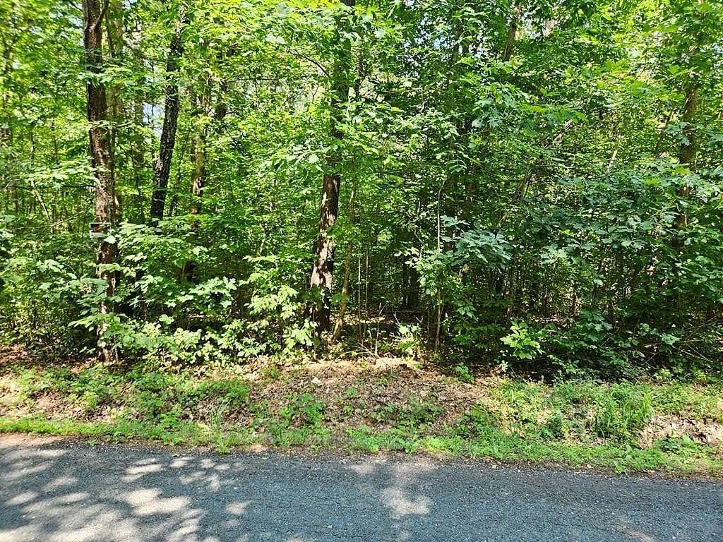 9 Acres of Residential Land for Sale in Dillwyn, Virginia