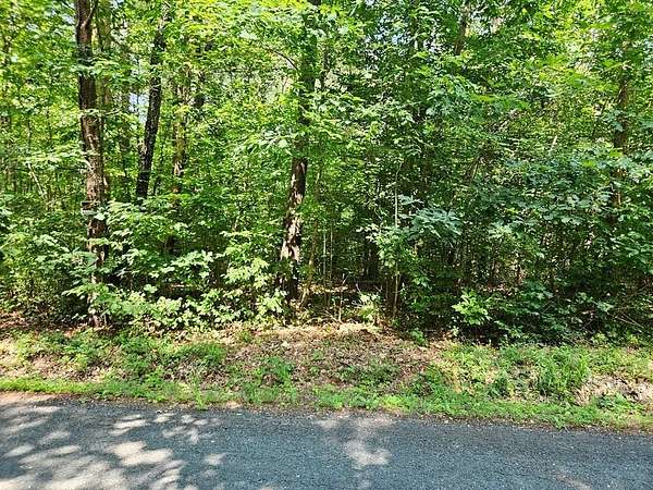 9 Acres of Residential Land for Sale in Dillwyn, Virginia