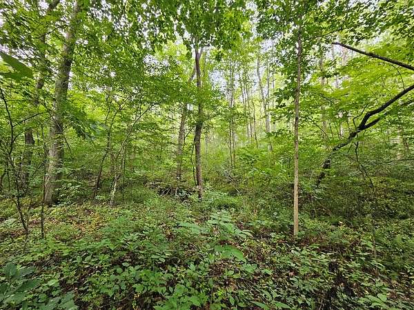 9 Acres of Residential Land for Sale in Dillwyn, Virginia