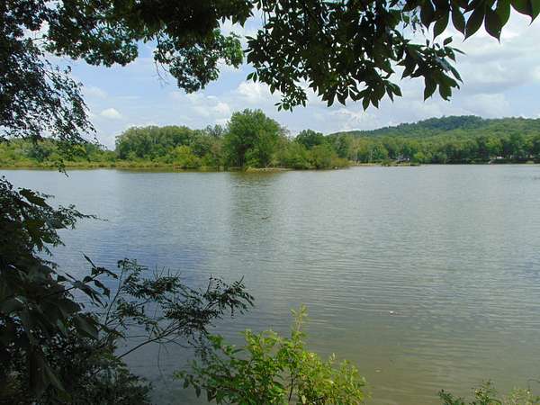 0.31 Acres of Residential Land for Sale in Clifton, Tennessee