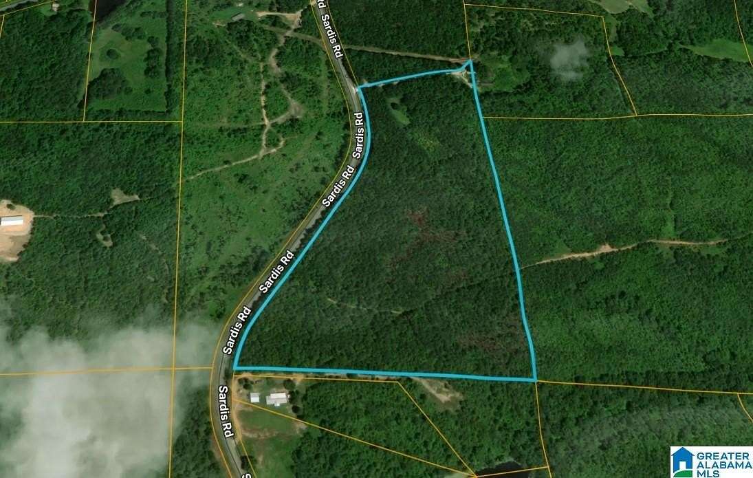 26.5 Acres of Land for Sale in Ashland, Alabama