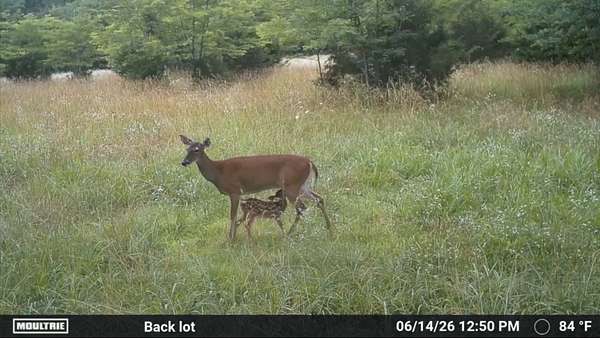 16.3 Acres of Recreational & Residential Land for Sale in Chapel Hill, Tennessee