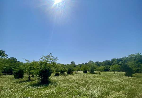 16.3 Acres of Recreational Land for Sale in Chapel Hill, Tennessee