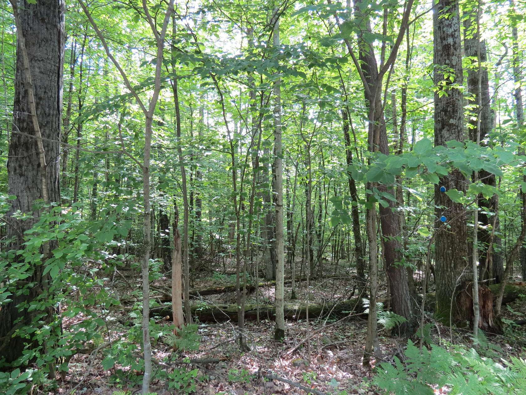 0.9 Acres of Residential Land for Sale in Jay, New York