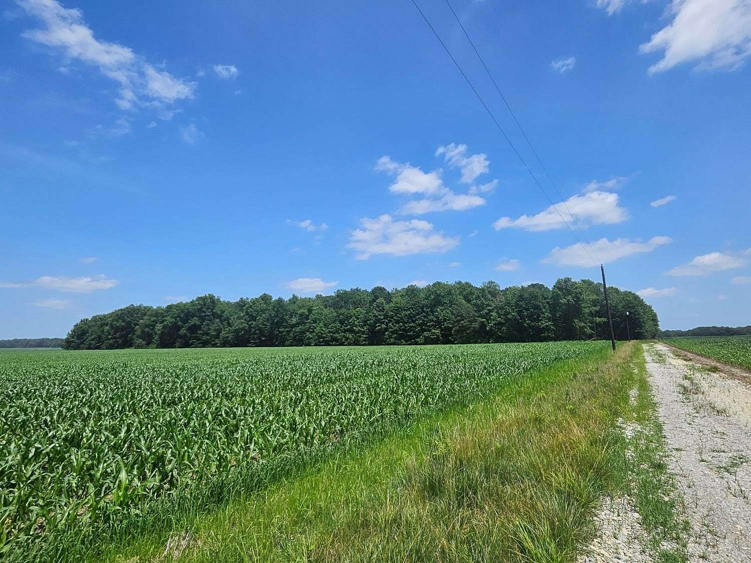 42 Acres of Land for Sale in Madison Township, Indiana