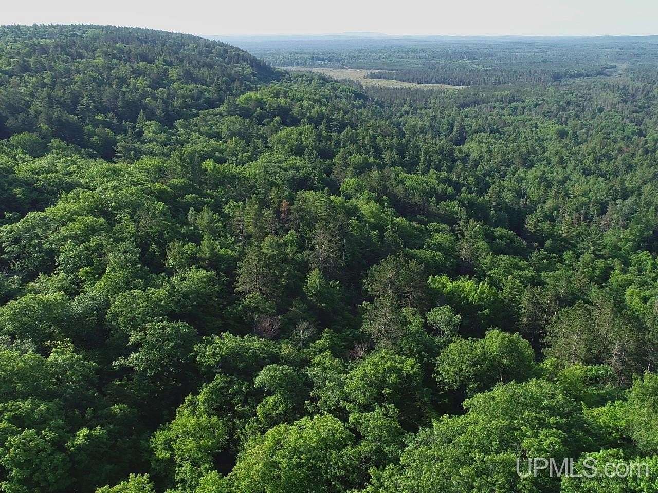 40 Acres of Recreational Land with Home for Sale in Champion, Michigan