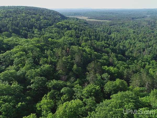 40 Acres of Recreational Land with Home for Sale in Champion, Michigan