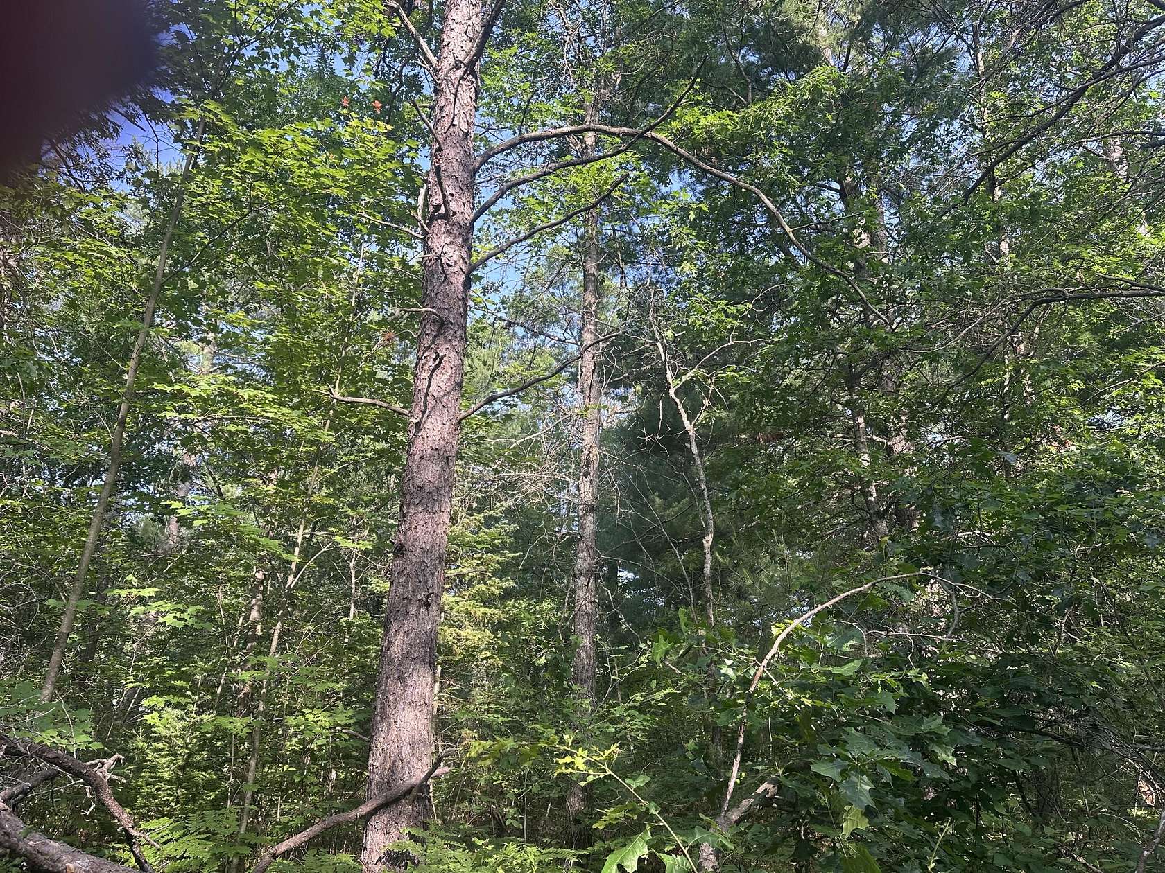 0.38 Acres of Land for Sale in Luzerne, Michigan