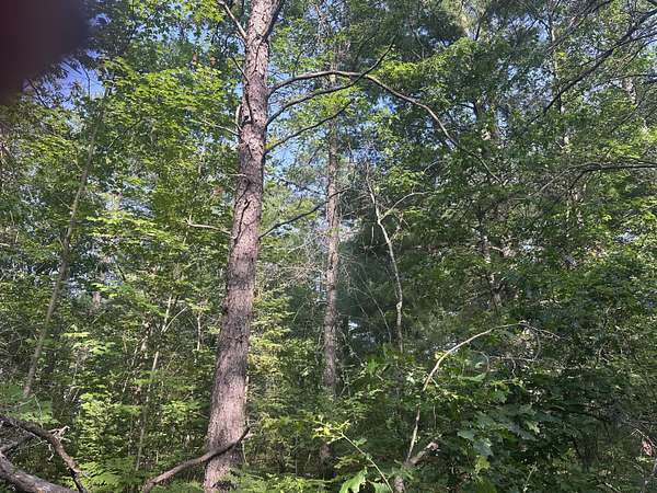 0.38 Acres of Land for Sale in Luzerne, Michigan