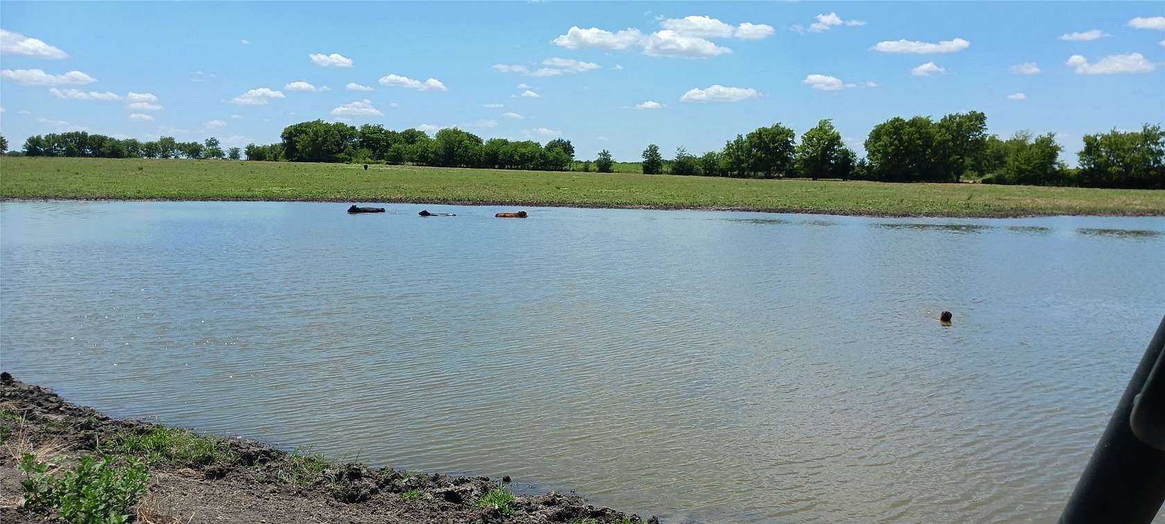 328 Acres of Agricultural Land for Sale in Deport, Texas