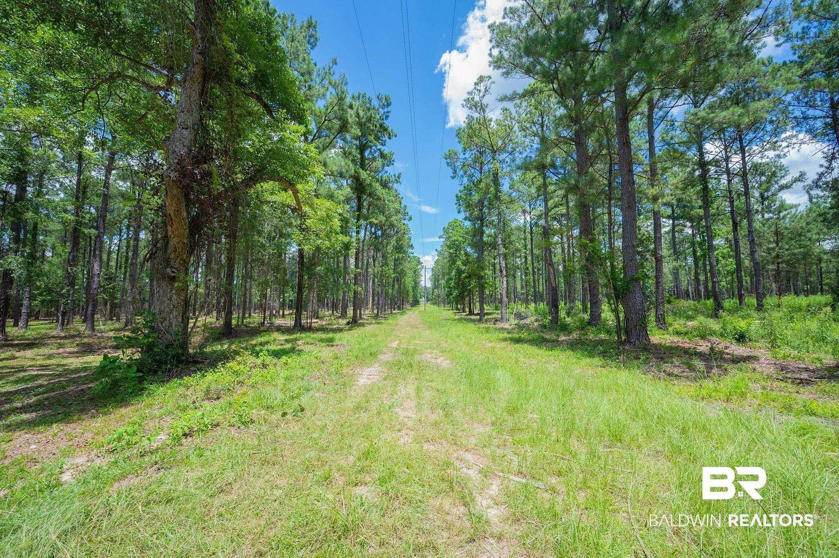 3.53 Acres of Residential Land for Sale in Bay Minette, Alabama