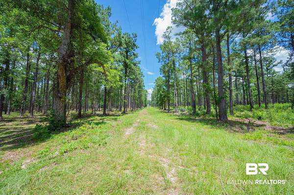 3 Acres of Residential Land for Sale in Bay Minette, Alabama
