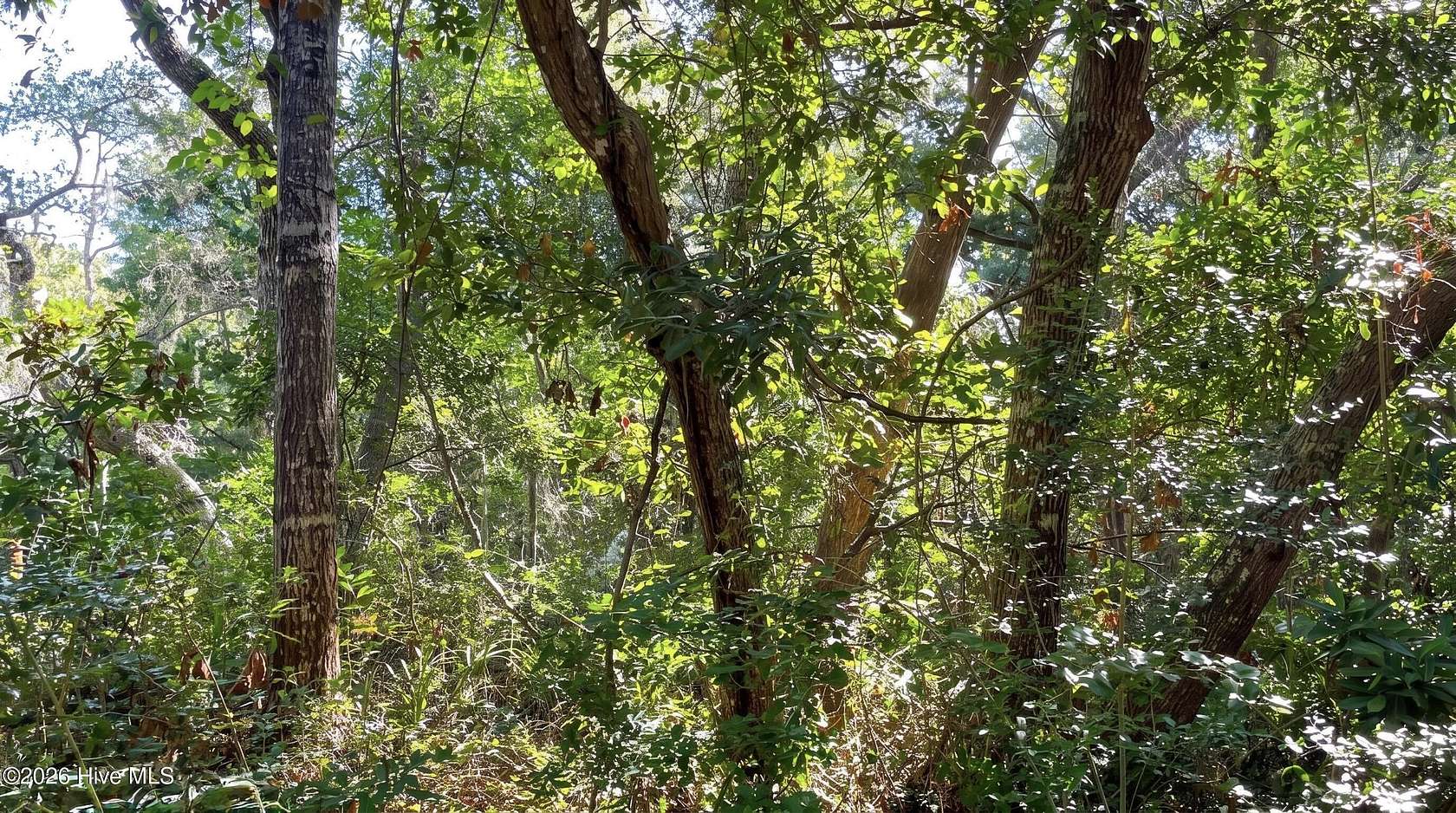 0.23 Acres of Residential Land for Sale in Bald Head Island, North Carolina