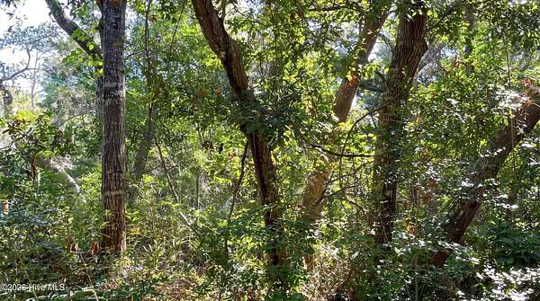 0.23 Acres of Residential Land for Sale in Bald Head Island, North Carolina