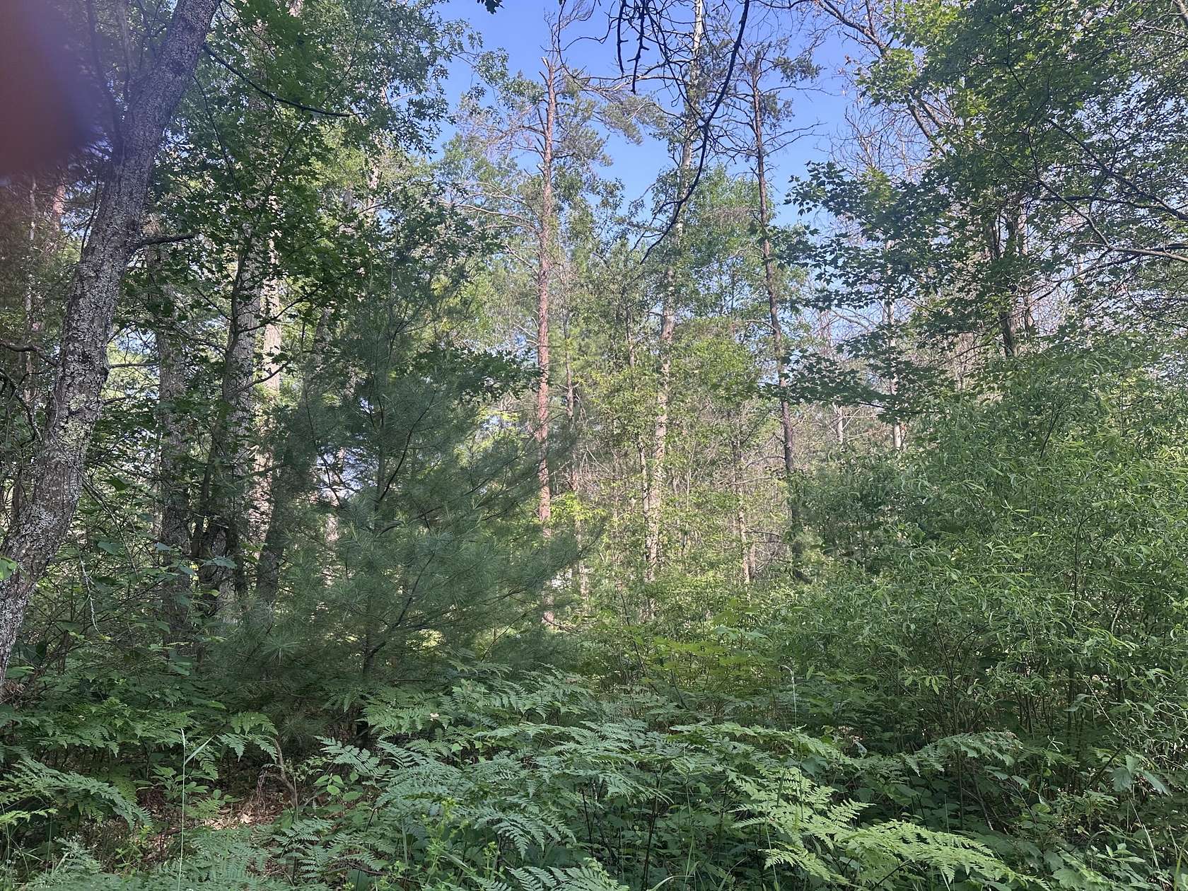 0.38 Acres of Land for Sale in Luzerne, Michigan