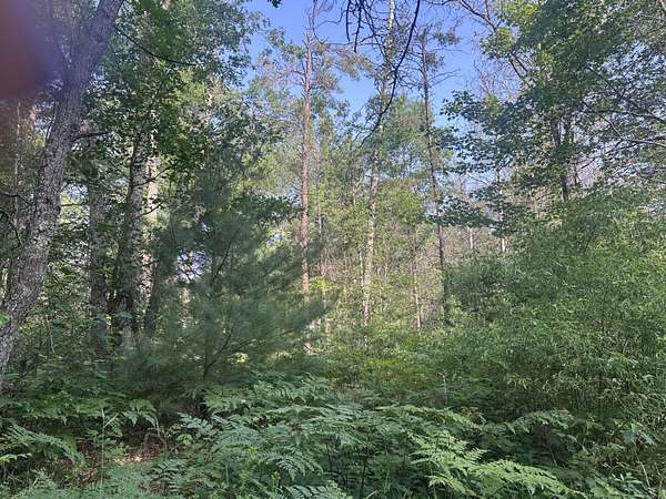 0.38 Acres of Land for Sale in Luzerne, Michigan
