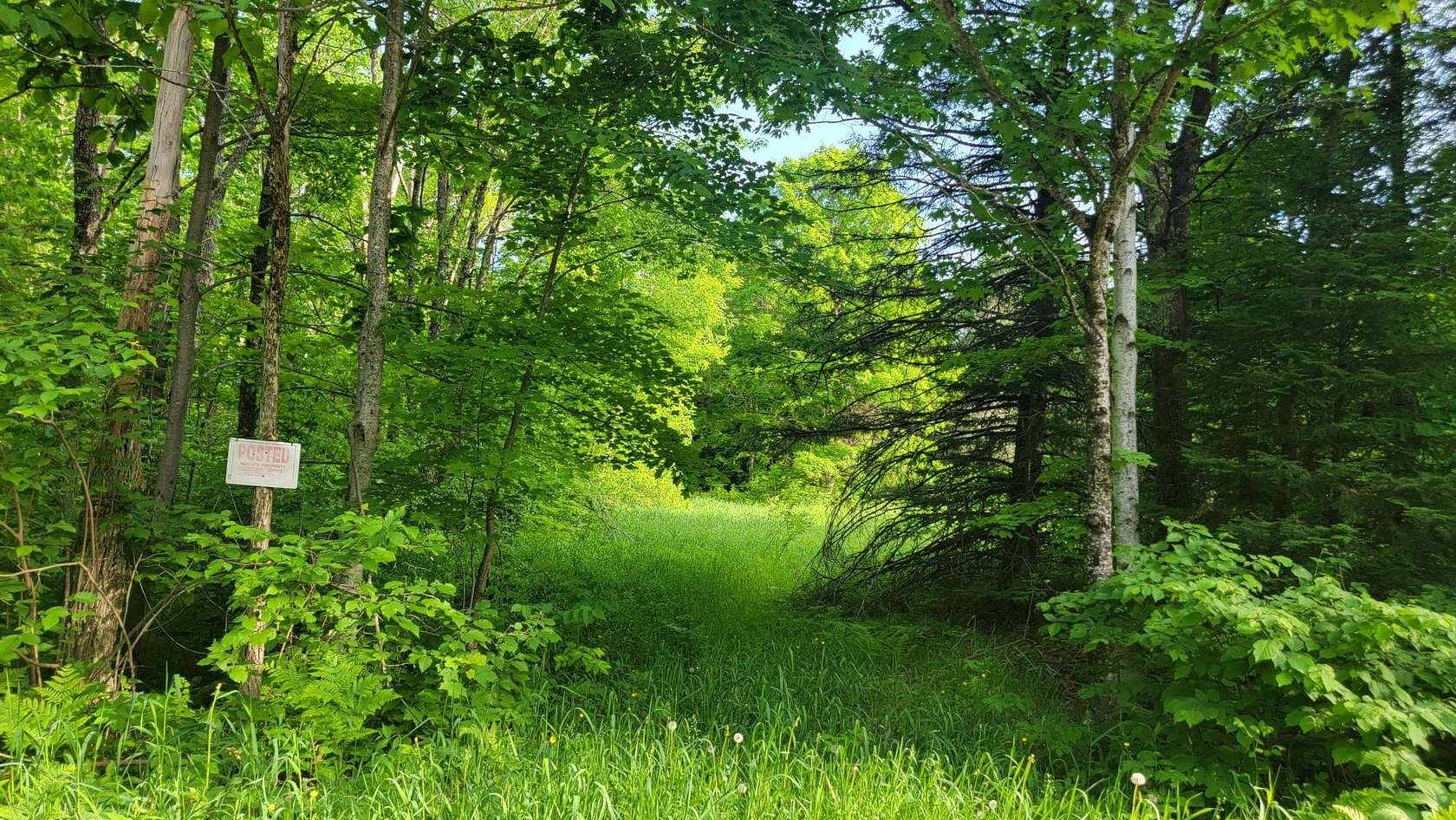 28.1 Acres of Land for Sale in Winter, Wisconsin