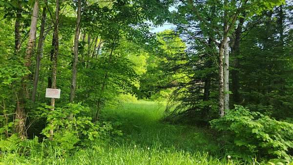 28.1 Acres of Land for Sale in Winter, Wisconsin